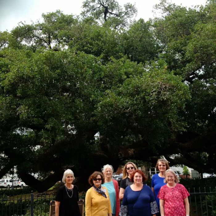 Travel Club in Lafayette